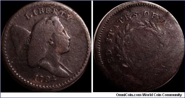 1794 Half Cent
Metal detector Find
Atkinson, Ga.