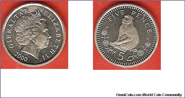 5 pence
Barbary Ape
Elizabeth II by Ian Rank-Broadley
copper-nickel