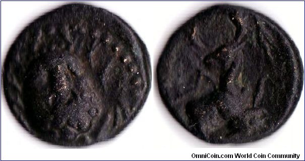 small (14mm) bronze from the Greek city of Selge in Pisidia (modern day Antalya region of Turkey) featuring heracles facing (obverse) and the forepart of a stag (reverse)