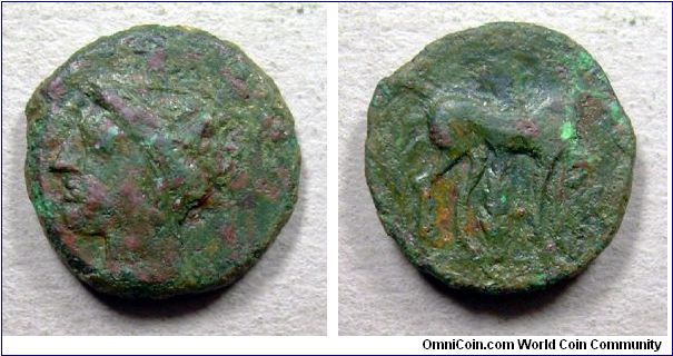 Punic coin Ca 300 BC
Obv.: head of Tanit left
Rev.: horse standing right, palm-tree in background