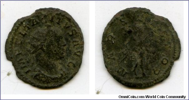 275-276ad
Tacitus
Antoninianus
Possibly Lugdunum mint, looks like a retrograde B to left, * to right
IMP CL TACITVS AVG, radiate, draped & cuirassed bust right
MARS VICTOR, Mars advancing right holding spear & trophy