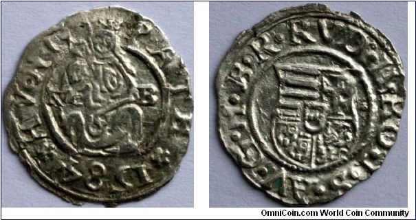 1  DENAR coin 1584 King Rudolf II Madonna and child