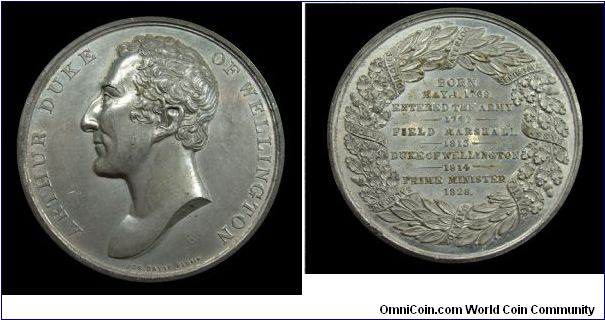 Wellington elected Prime Minister - White metal medal - mm. 51