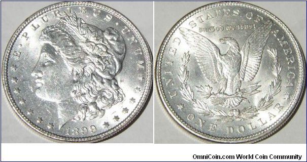 1899 Morgan Dollar