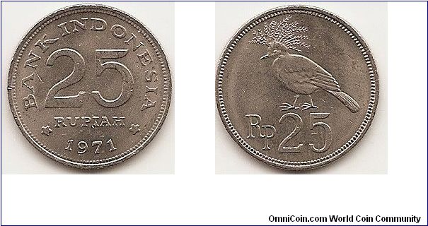 25 Rupiah
KM#34
3.5000 g., Copper-Nickel, 19,9 mm. Obv: Stars flank date below denomination Rev: Victoria crowned pigeon