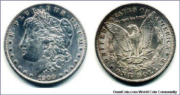 USA Morgan Dollar
38mm diameter