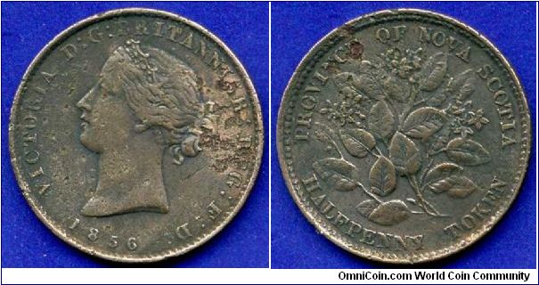 Half Penny Token.
*Province of Nova Scotia*.
Victoria (1837-1901) Regina.


Cu.