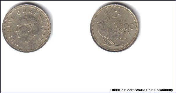 Turkey, 5000 Lira, 1993