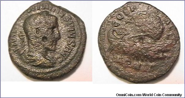 Roman Provinical coin, Emperor Maximinus I 235-238 AD, IMP MAXIMINVS PIVS AVG, COL PAC DEVLT. (Deultum, Thrace) AE3