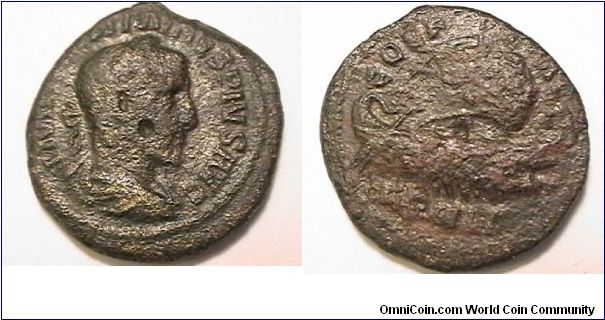 Roman Provinical coin, Emperor Maximinus I 235-238 AD, IMP MAXIMINVS PIVS AVG, COL PAC DEVLT. (Deultum, Thrace) AE3