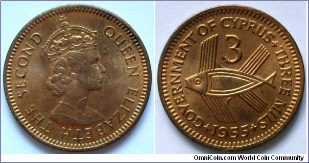 3 mils.
1955