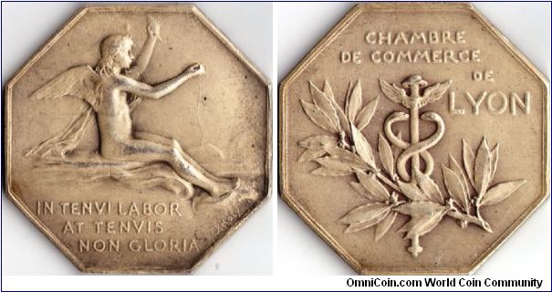 Silver medal (45mm) engraved by Louis Oscar Roty. This one struck for the 'Chambre de Commerce de Lyon'
