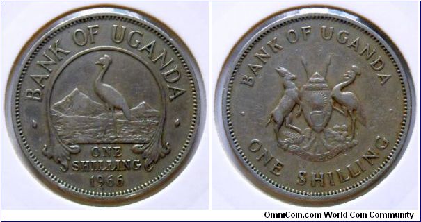 1 shilling.
1966