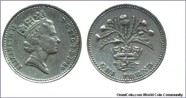United Kingdom, 1 pound, 1989, Ni-Brass, 22.5mm, 9.5g, Scottish Thistle, Queen Elizabeth II.