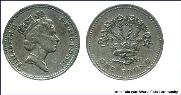United Kingdom, 1 pound, 1991, Ni-Brass, 22.5mm, 9.5g, Nothern Ireland - Blooming Flax, Queen Elizabeth II.