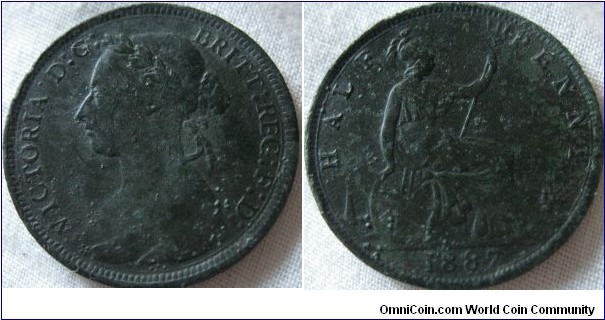 1887 halfpenny, dug up however looks to have been dropped in the early part of the 20th century