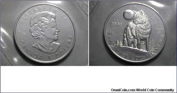 Canada 2006 Silver Dollar If any body knows the Krouse number on this coin let me know I looked for it in my book but could not find it I have the 2008 Krouse 2000 to present catalogue