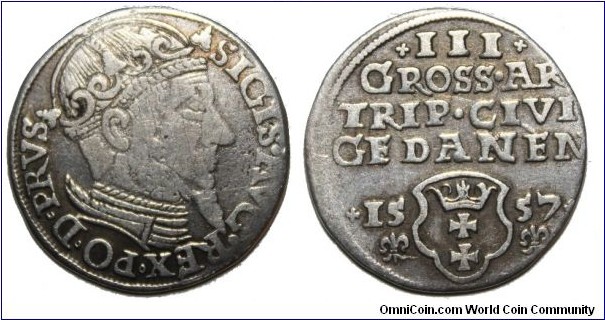 3 Groschen ( trojak), Sigismund Augustus II, Gedanen