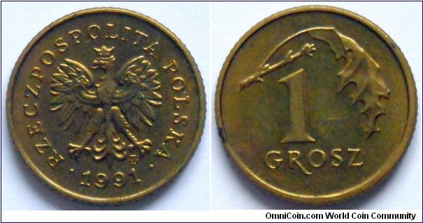 1 grosz.
1991, Steel-bronze.
Weight 1,64g. Diameter 15,5mm. Reeded edge. Design St. Watrobska-Frindt / E. Tyc-Karpinska. Mintage 79.000.000 units.