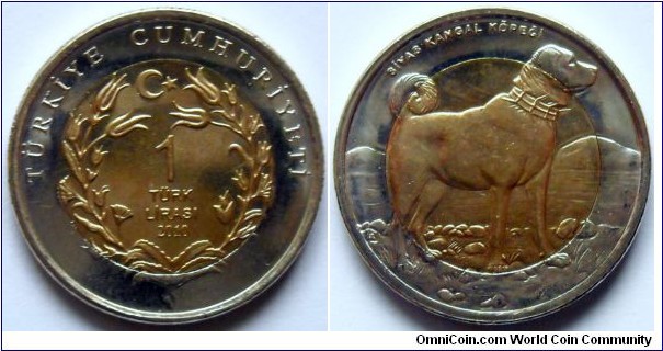 1 lira. 2010.
New Turkish bimetal coin depicted dog.