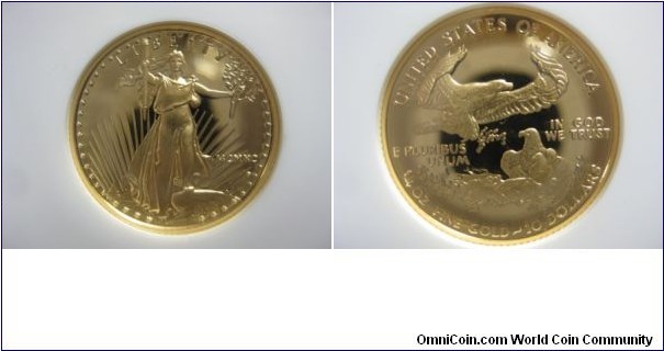 1990 $10 Eagle PR70 UCAM 