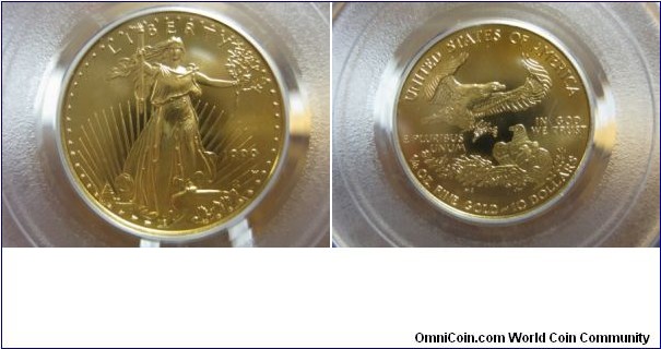 1999 $10 Eagle with W Error