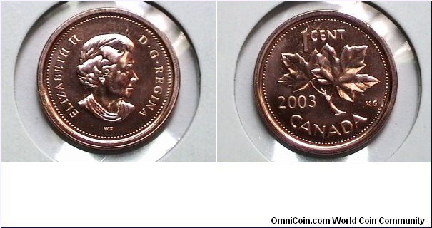 Canada 2003 WP 1 Cent Km# 490 