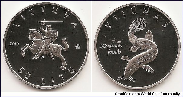 50 Litas KM#171 Silver Ag 925 Quality proof Diameter 38.61 mm Weight 28.28 g Coin featuring Lithuanian Nature. The obverse of the coin features the Coat of Arms of the Republic of Lithuania, encircled with the inscriptions LIETUVA (Lithuania), 50 LITŲ (50 litas) and 2010. The reverse of the coin bears the image of a fish, which is the Loach included in the Red Data Book of Lithuania. The fish is surrounded by the inscriptions VIJŪNAS and MISGURNUS FOSSILIS in the Lithuanian and Latin languages. The words on the edge of the coin: LIETUVOS GAMTA
(LITHUANIAN NATURE) Designed by Vytautas Narutis and Giedrius Paulauskis Mintage 10,000 pcs Issue 30.11.2010 The coin was minted at the UAB Lithuanian Mint.