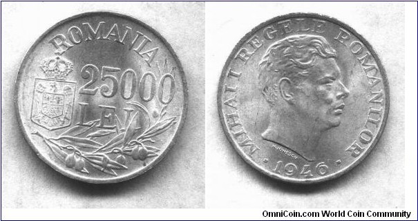 25 000 Lei