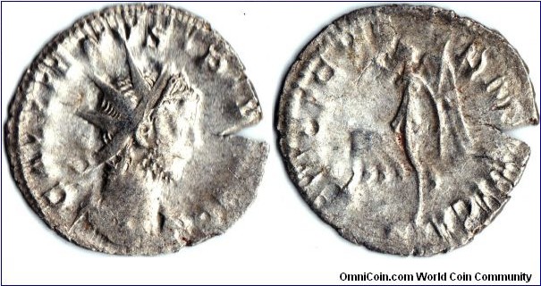 silver antoninianus of Gallienus (253 -268 ad) circa 260 ad. Rather good silver for this type. 