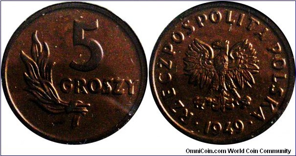 5 Groszy, Bronze, Mint: Basel 