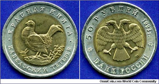 50 Roubles.
Russian Federation.
*The Red Book* set.
Caucasian Grouse (Tetrao mlokosiewiczi).
*LMD* - Leningrad mint.
Mintage 300,000 units.


Bi-Metal.
