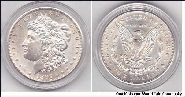 Morgan Silver Dollar S
