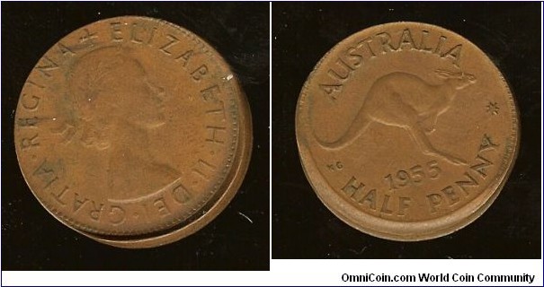 1955 Halfpenny. 2mm mis-strike with obverse lip