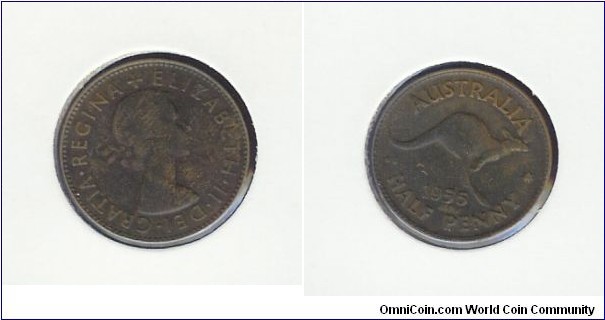 1955 Halfpenny.