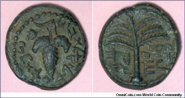 Bar Kochba, small bronze. Year 1