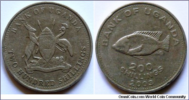 200 shillings.
2003
