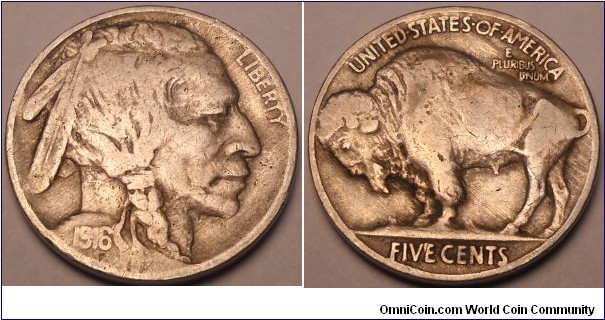1916 BUffalo nickel
