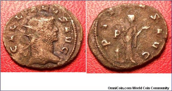 Gallienus
RIC 507k Antoninianus Obv: GALLIENVSAVG - Radiate head right.
Rev: PIETASAVG - Pietas standing by lit altar, hands raised and outspread. 260-268 (Mediolanum)