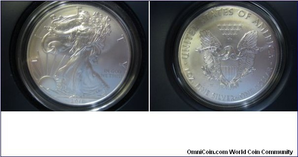 25th Anniversary Silver Eagle, 