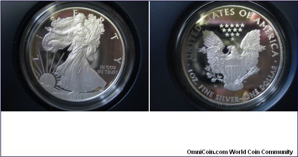 25th Anniversary Silver Eagle, Proof