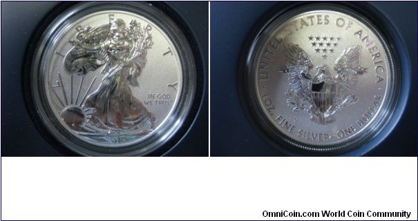 25th Anniversary Silver Eagle, Reverse Proof