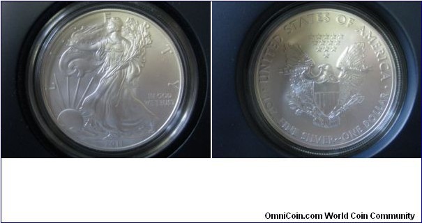 25th Anniversary Silver Eagle, Unc Bullion 