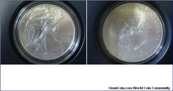 25th Anniversary Silver Eagle, 