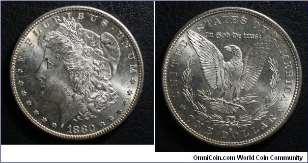 Morgan Silver Dollar
Obverse: Large Liberty Head Reverse: Eagle Mintage: 8,900,000 Silver: .900